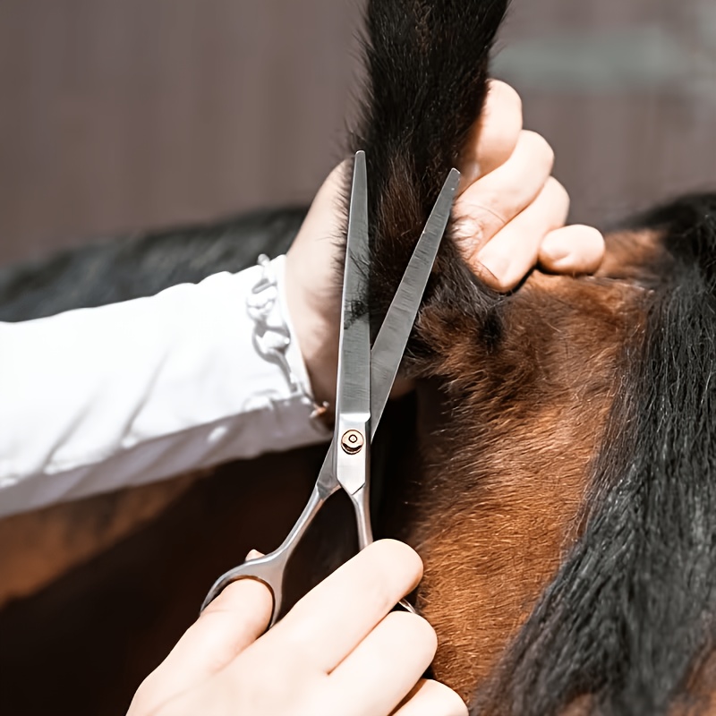Grooming Kit Horse - Set Peralatan Perawatan Kuda dari Baja