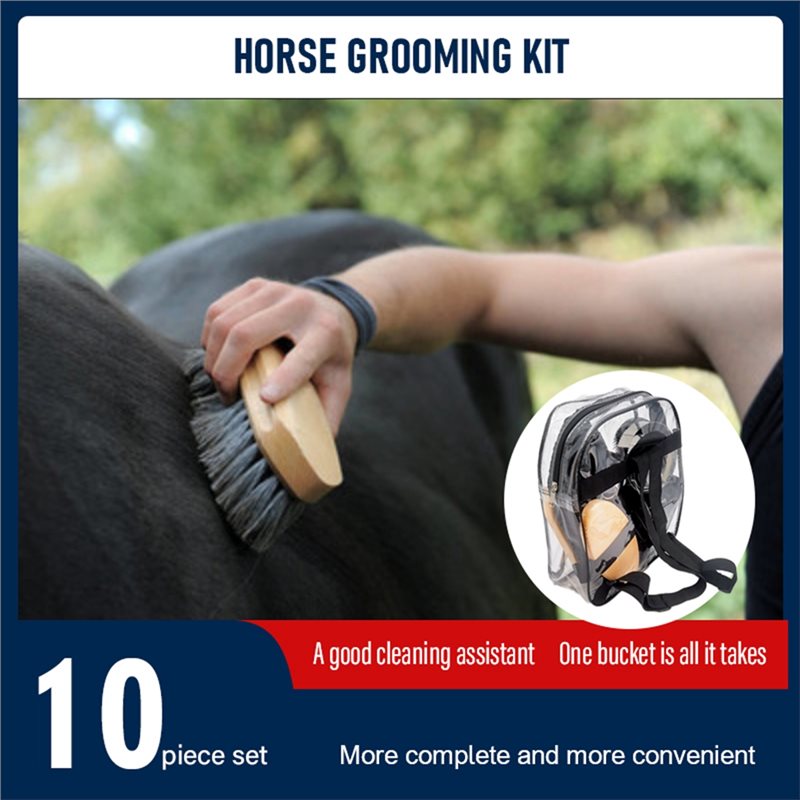 Dropship-Perlengkapan Perawata - Grooming Kit Horse ulasan dan harga