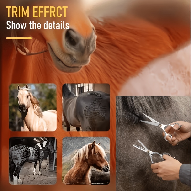Set Peralatan Perawatan Kuda d - Grooming Kit Horse ulasan dan harga
