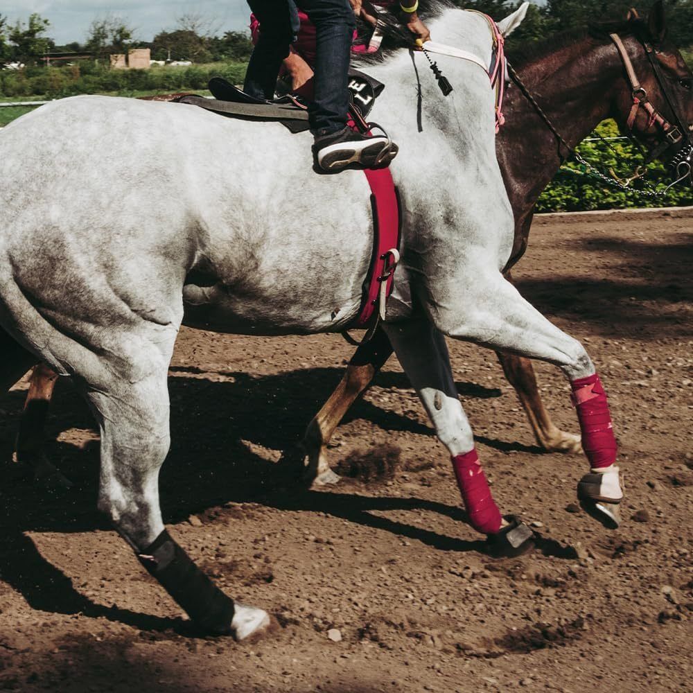 Set 2/4 Buah Perban Kaki Kuda  - Grooming Kit Horse ulasan dan harga