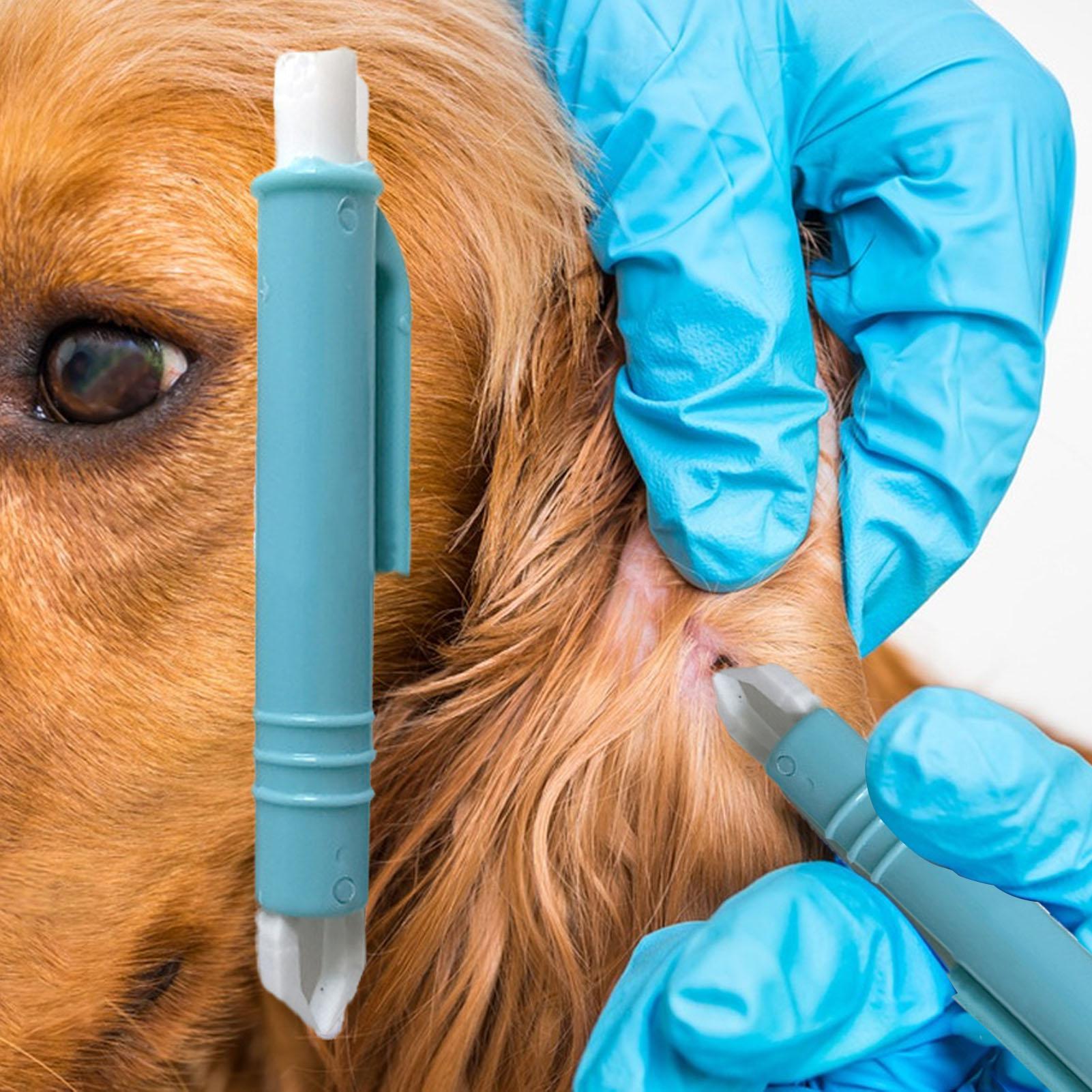 Alat Penghilang Kutu dan Tunga - Grooming Kit Horse ulasan dan harga