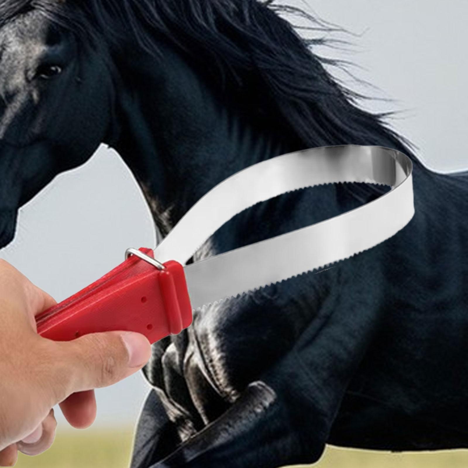 Sisir Pembersih Bulu Kuda Prak - Grooming Kit Horse ulasan dan harga