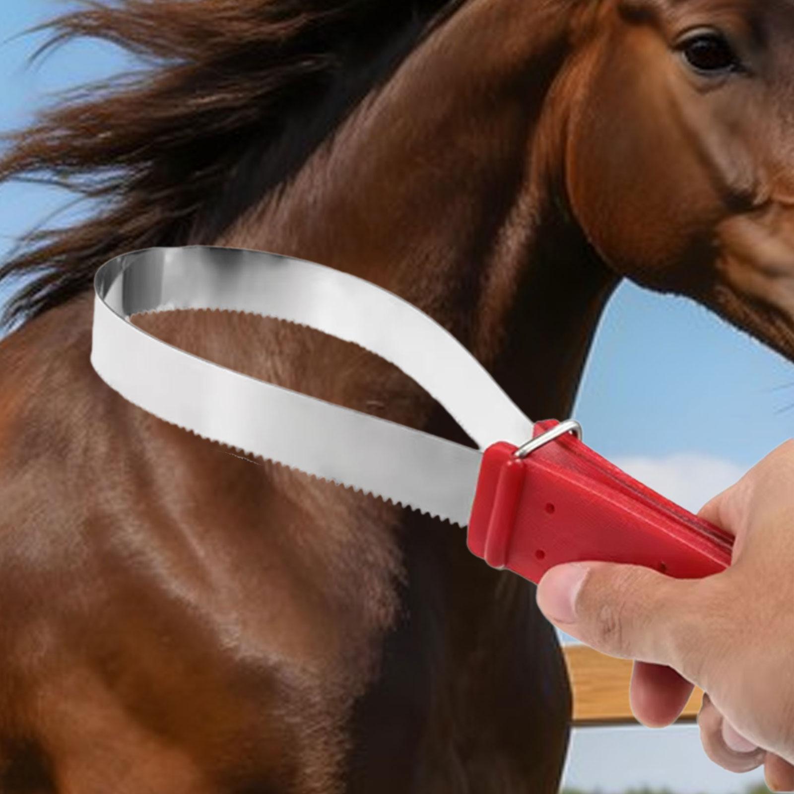 Sisir Pembersih Bulu Kuda Prak - Grooming Kit Horse ulasan dan harga